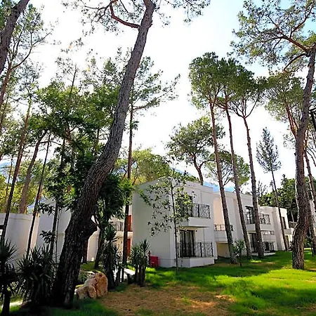 Siu Collection Hotel