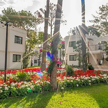 Отель Siu Collection 5*